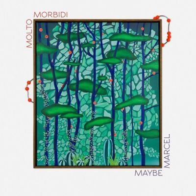 Molto Morbidi - Maybe Marcel - Import Vinyl LP Recurd Limited Edition