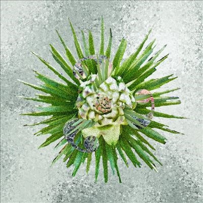 How??? - How??? - Import Ultra Clear Vinyl LP Record