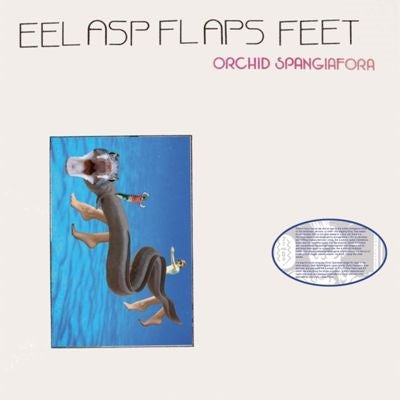 Orchid Spangiafora - Eel Asp Flaps Feet - Import Vinyl LP Record