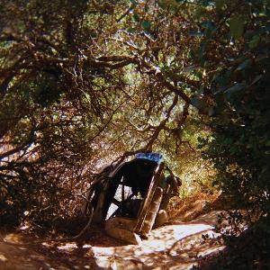 Ty Segall - Possession - Import Cassette Tape