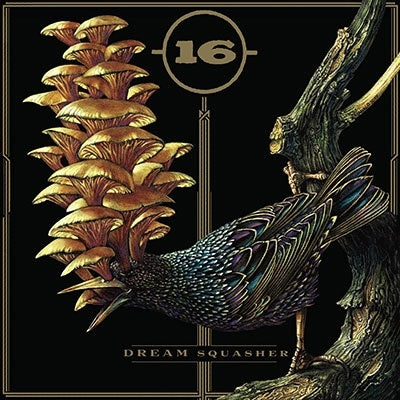 16 - Dream Squasher - Import Custom Tri-Color Merge with Splatter Vinyl LP Record