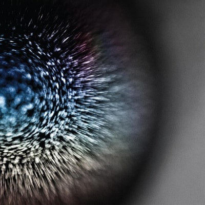 Emptyset - Blossoms - Import CD