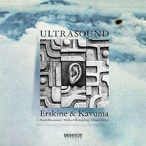 Theo Erskine 、 Mark Kavuma - Ultrasound - Import Vinyl LP Record