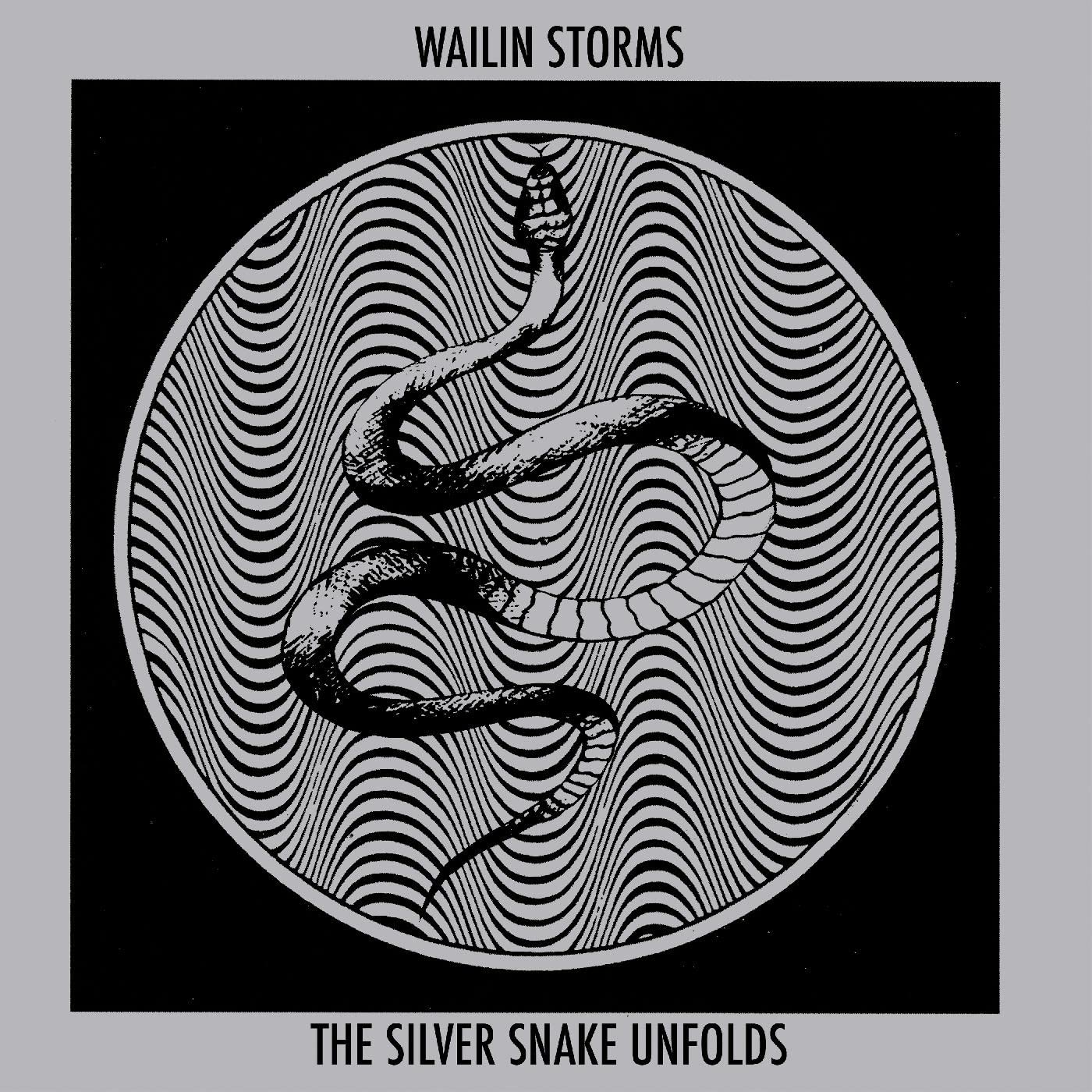 Wailin Storms - The Silver Snake Unfolds - Import Blue & Black Galaxy Vinyl LP Record