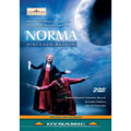 Giuliano Carella - Bellini: Norma/ Carella - Import 2 DVD