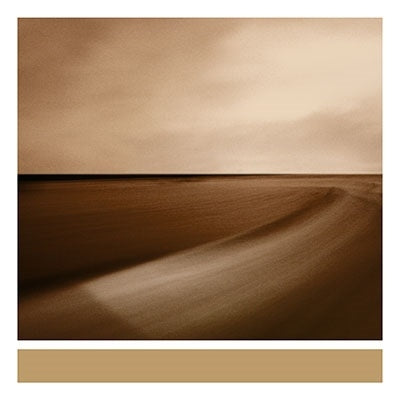 Brian Eno - Small Craft On A Milk Sea - Import Vinyl 2 Vinyl Record Limited Edition