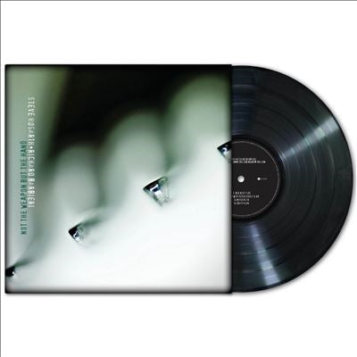 Steve Hogarth 、Richard Barbieri - Not The Weapon But The Hand - Import Vinyl LP Record
