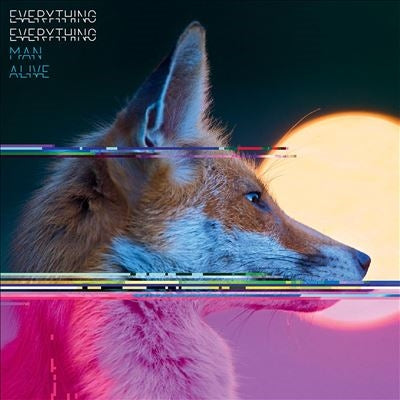 Everything Everything - Man Alive - Import Vinyl LP Record