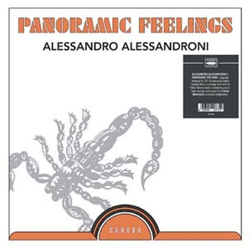 Alessandro Alessandroni - Panoramic Feelings - Import Vinyl LP Record Limited Edition