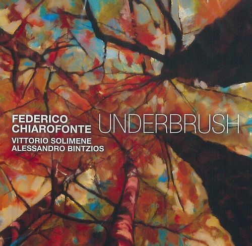 Federico Chiarofonte - Underbrush - Import CD