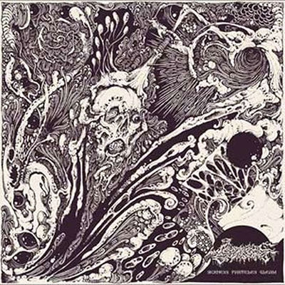 Seraphic Entombment - Sickness Particles Gleam - Import CD