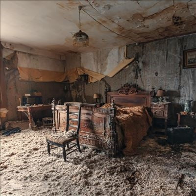 Noctambulist - Noctambulist - Import Pink Marble Vinyl LP Record