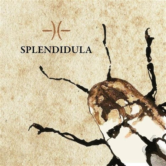 Splendidula - Splendidula - Import CD