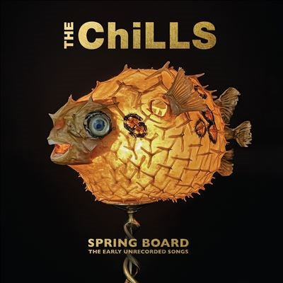 Chills - Spring Board: The Early Unrecorded Songs - Import CD