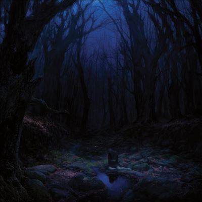 Woods Of Desolation - Torn Beyond Reason (Gate) - Import Vinyl LP Record Limited Edition