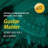 Paul Magi - Mahler: Symphony No.1 - including Blumine - Import CD