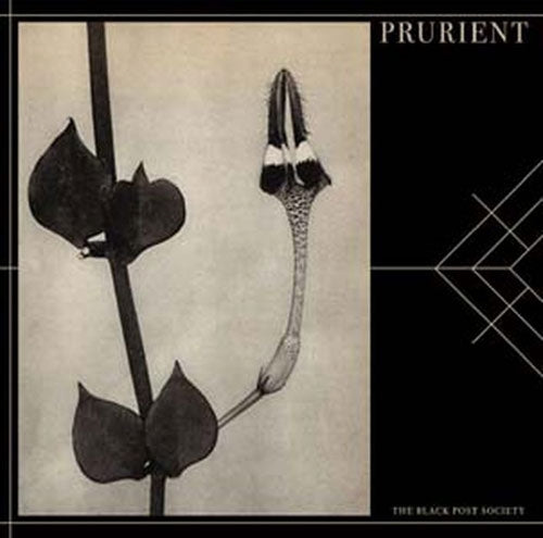 Prurient - The Black Post Society - Import CD