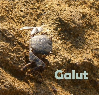 Alan Sondheim 、 Edward Schneider 、 Azure Carter 、 Rachel Rosenkrantz - Galut: Ballads of Wadi-Sabi - Import CD
