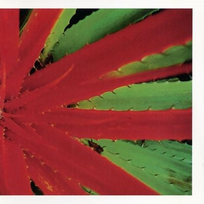Jejune - This Afternoons Malady - Import Vinyl LP Record