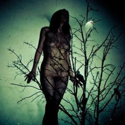 The Atlas Moth - An Ache for the Distance Martian - Import Vinyl LP Record