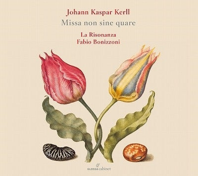 Johann Caspar Kerll - Missa Non Sine Quare - Import CD