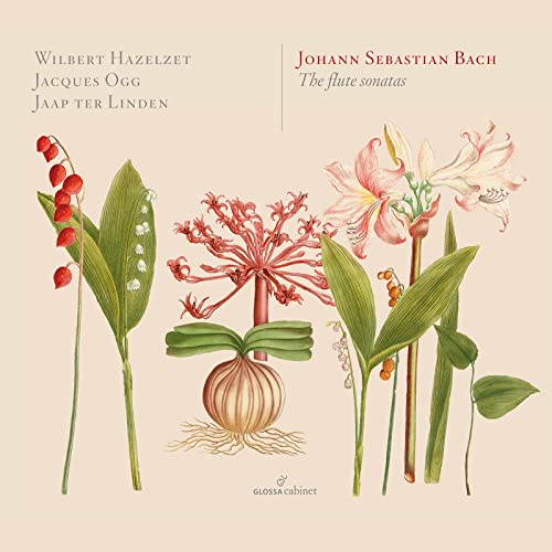 Bach (1685-1750) - Complete Flute Sonatas : Hazelzet(Fl)Ogg(Cemb, Fp)Ter Linden(Vc)(2CD) - Import 2 CD