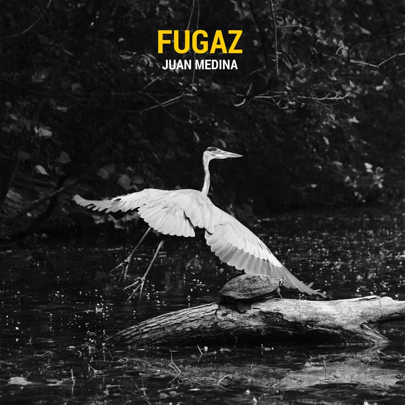 Juan Medina - Fugaz - Import CD