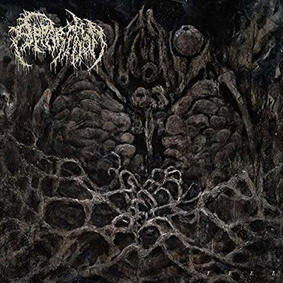 Apparition - Feel - Import CD