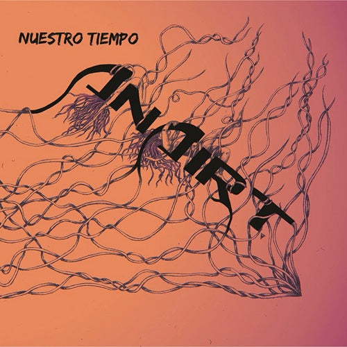 Anairt - Nuestro Tiempo - Import CD