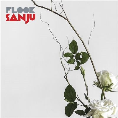 Flook - Sanju - Import Vinyl LP Record