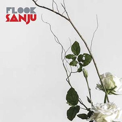 Flook - Sanju - Import Vinyl LP Record Limited Edition