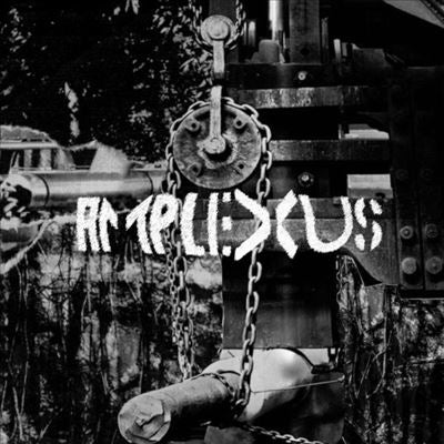 Amplexus - Melting Away - Fierce Detrunctation - Import CD
