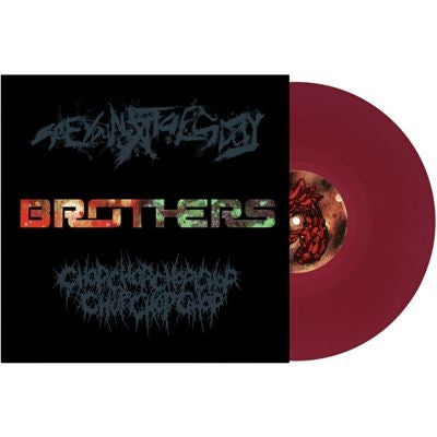 See You Next Tuesday - Brothers - Import Vinyl 7inch Single Record
