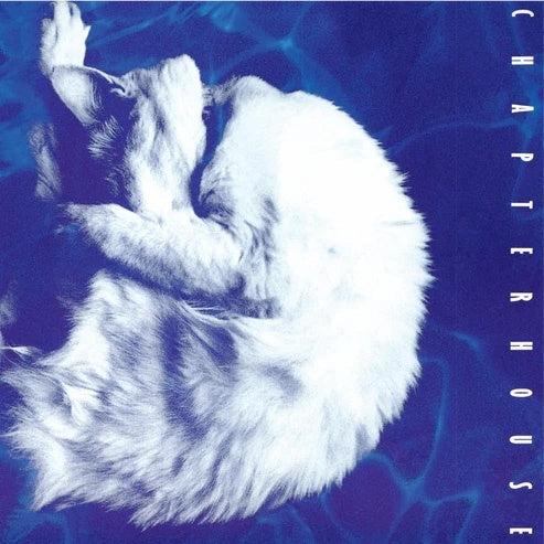 Chapterhouse - Whirlpool - Import 180g Vinyl LP Record Limited Edition