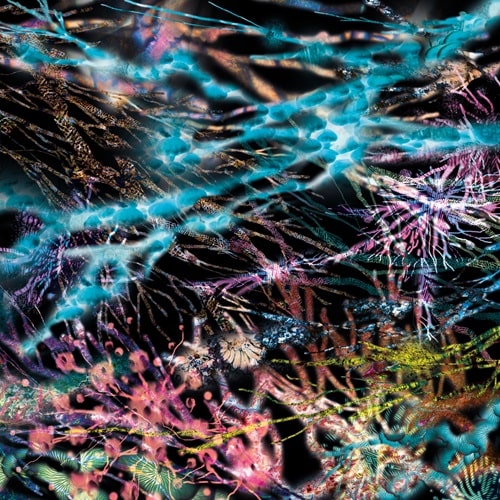 Lcsm (Likwid Continual Space Motion) - Remedy - Import Vinyl 3 LP Record