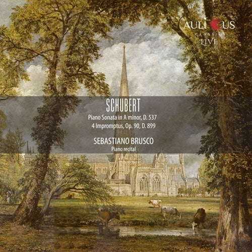 Sebastiano Brusco - Schubert:Piano Sonata No.4 / 4 Impromptus - Import CD