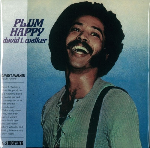 David T. Walker - Plum Happy - Import CD