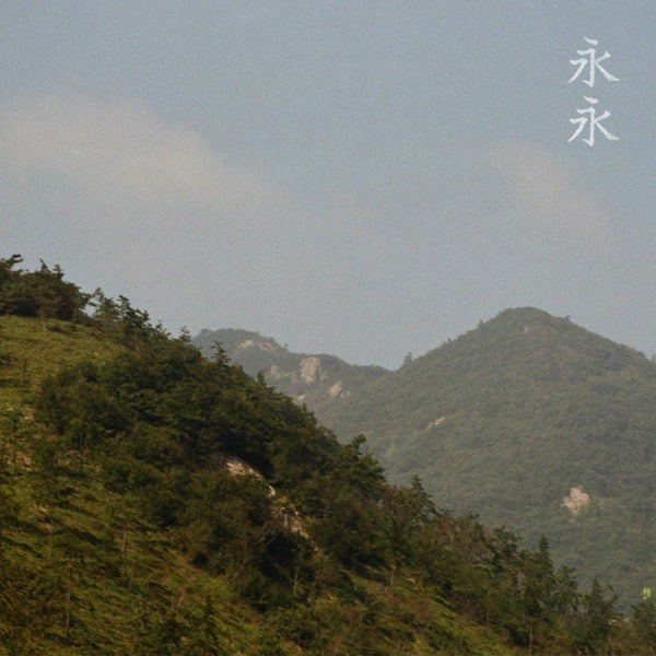 Young Oh - Everlast - Import CD