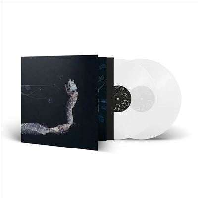 Tenhi - Maaaet - Import Clear Vinyl 2 LP Record