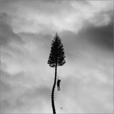 Manchester Orchestra - A Black Mile To The Surface - Import CD