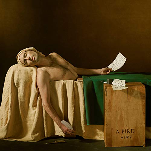 Andrew Bird - My Finest Work Yet - Import Vinyl 2 LP Record Limited Edition