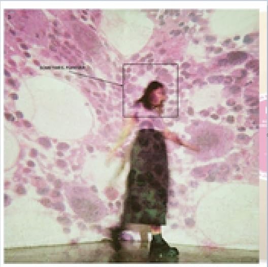 Soccer Mommy - Sometimes, Forever - Import Colored Vinyl LP Record Limited Edition
