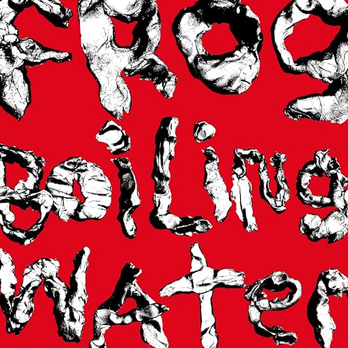 Diiv - Frog In Boiling Water - Import Vinyl LP Record
