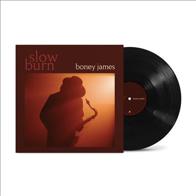 Boney James - Slow Burn - Import Vinyl LP Record