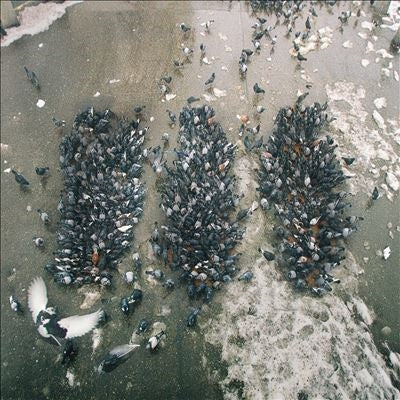Show Me The Body - Alone Together - Import CD