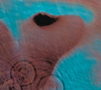 Pink Floyd - Meddle - Import Vinyl LP Record Limited Edition