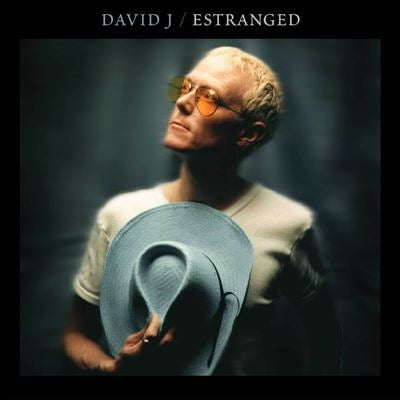 David J - Estranged - Import Blue Vinyl 2 LP Record