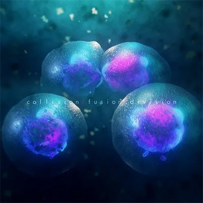 At Night I Fly - Collision/Fusion/Division - Import CD