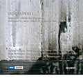 Furrer / Hodges / Wdr Sym Orch Koln / Rundel - B.Furrer: Piano Concerto, Invocations VI, Spur, Fama, etc (2007-2008) - Import CD
