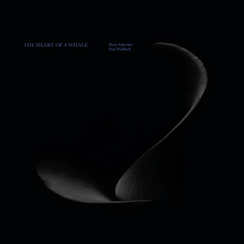 Dana Schechter 、 Paul Wallfisch - The Heart of a Whale - Import LP Record